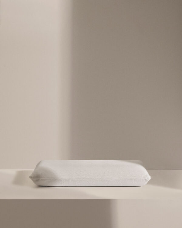Almohada Sasa viscoelástica 33 x 70 cm
