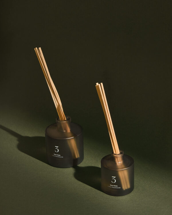 Ambientador en sticks Citrus Wave 100 ml