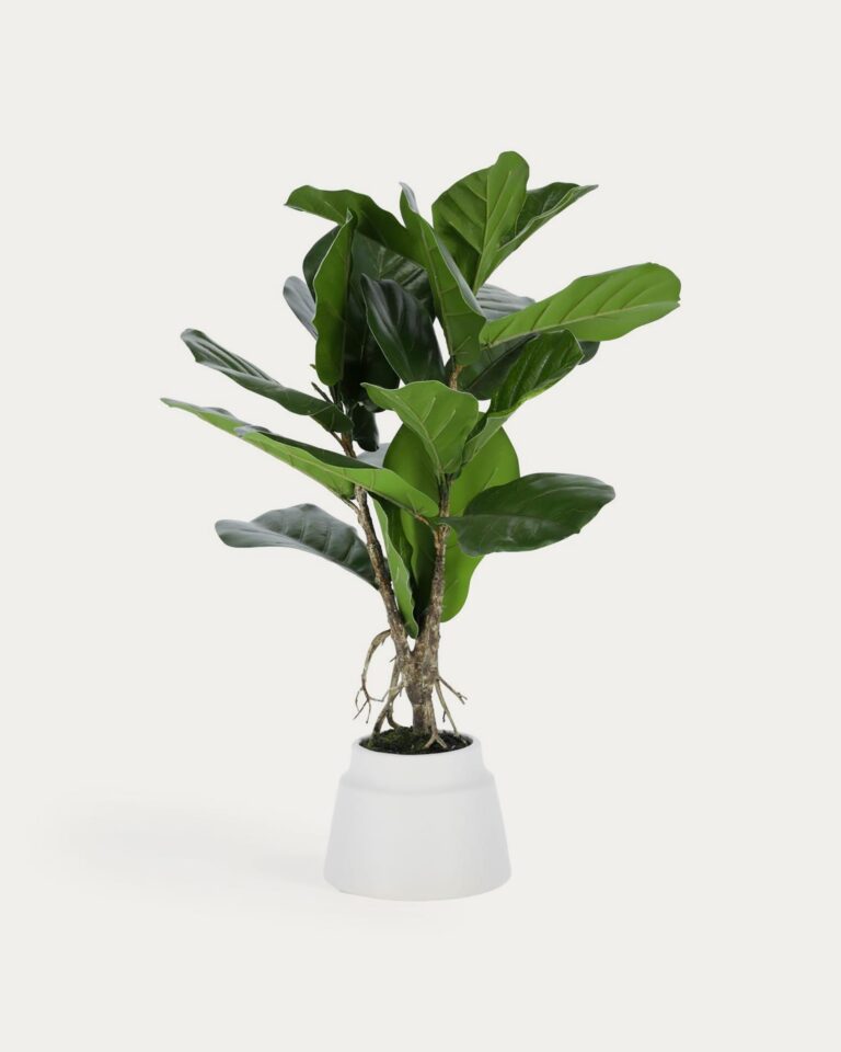 Planta artificial Lyrata con maceta de cerámica blanco 60 cm