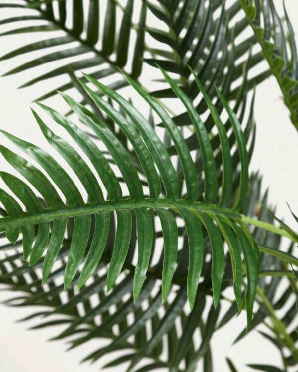 Planta artificial Palmera de bambú con maceta negro 170 cm