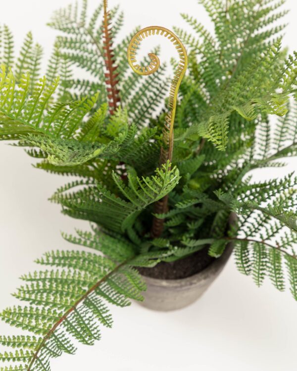 Planta artificial Filicopsida con maceta de cemento 35 cm