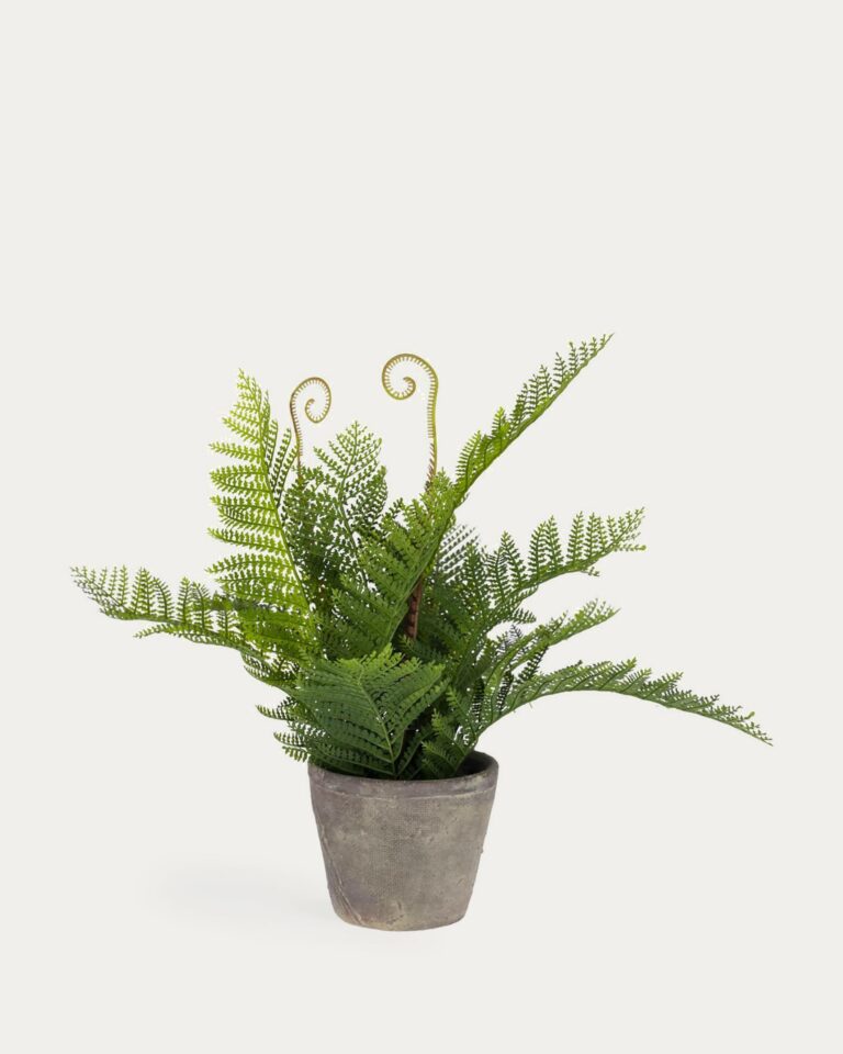 Planta artificial Filicopsida con maceta de cemento 35 cm