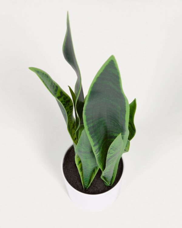 Planta artificial Sansevieria con maceta blanco 55 cm