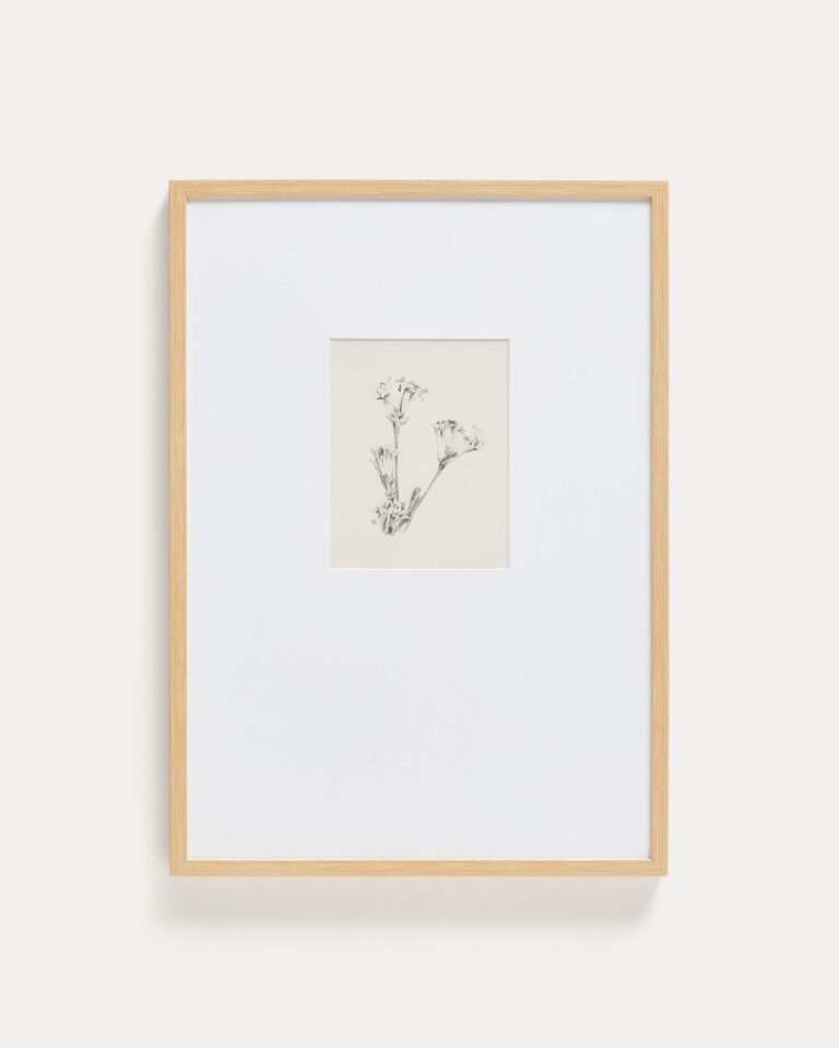 Cuadro Lirena ilustración botánica 50 x 70 cm