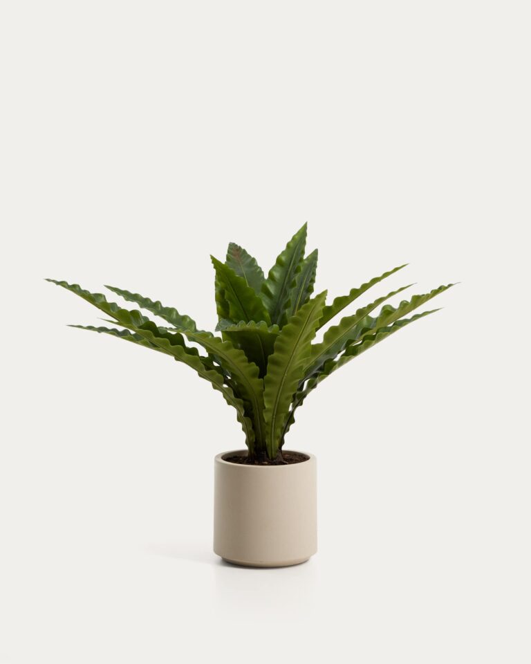 Planta artificial Neottopteris con maceta blanca 70 cm