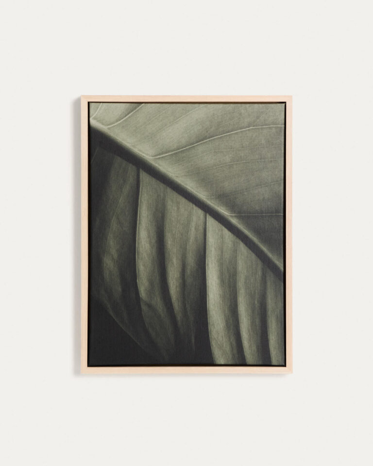 Cuadro Foliae fotografía de hoja 32,5 x 42,5 cm