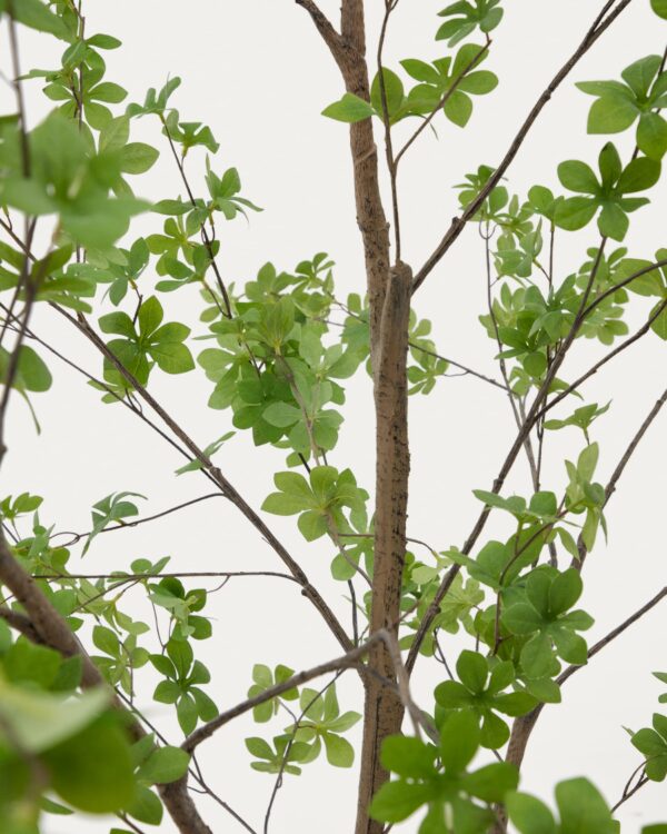 Árbol artificial Enkianthus con maceta negro 214 cm