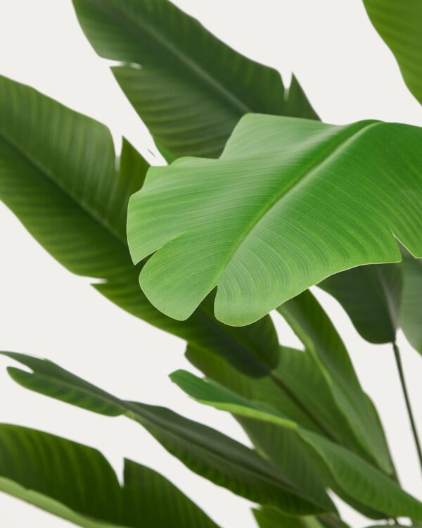 Planta artificial Banano con maceta negra 210 cm