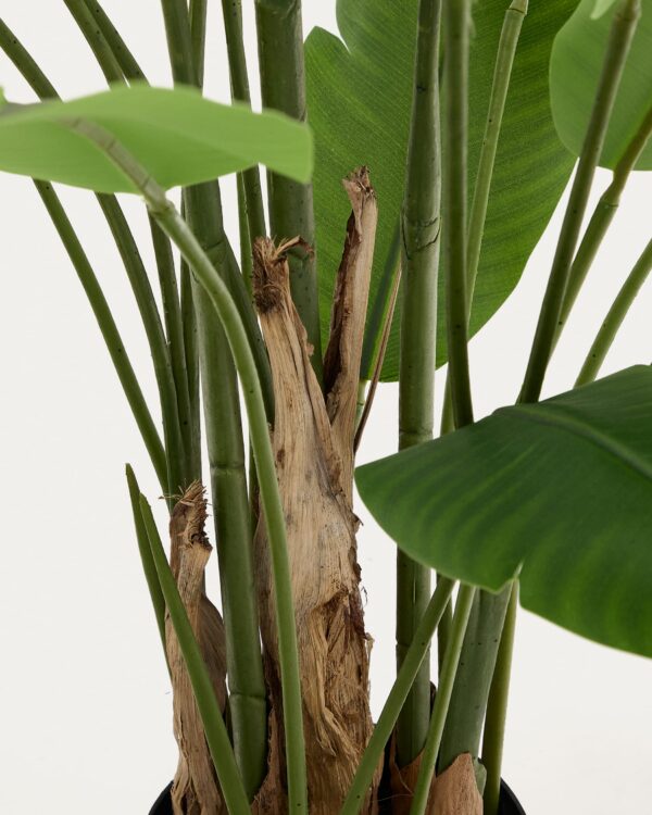 Planta artificial Banano con maceta negra 210 cm